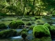 Rezervatia naturala Izvoarele Carasului - anina