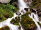 Cascada Valea Spumoasa Bucegi