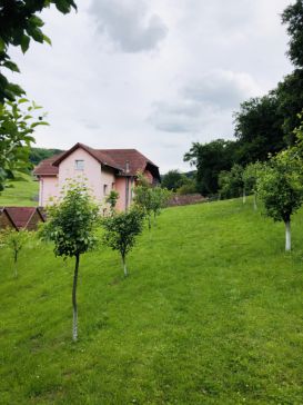 Pensiunea Poenita | Cazare Sighisoara